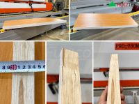 Ưu Điểm Máy Dán Cạnh Tự Động PRO-980MHB - 2 Nồi Keo PUR, Đè Phôi Dây Belt Holztek 11823