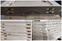 Máy đục ổ khóa phay bản lề cửa Woodmaster 7489