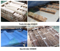Máy Dán Veneer 3D Hút Chân Không 2500MM HOLZTEK  6331