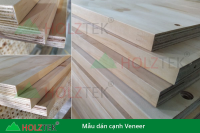 MÁY DÁN CẠNH TỰ ĐỘNG 6 CHỨC NĂNG TẢI NẶNG HOLZTEK PRO- 610A 5690